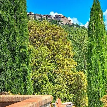 Amorosa - Monte Castello di Vibio